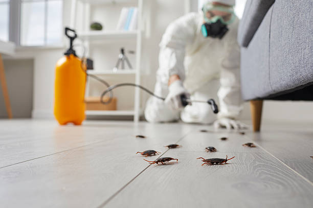 Commercial Kitchen Cockroach Control in Meyers